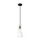 Nuvo Fixture, Pendant, 1-Light, Incandescent, 60W, 120V, T9, Medium Base, Height: 14 60/6878 - alternate 1